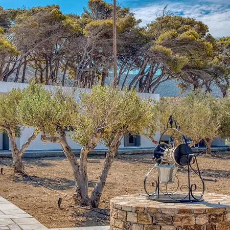 Raphael - Luxury And Serenity In Paros Hébergement de vacances